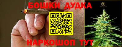 индика Гулькевичи
