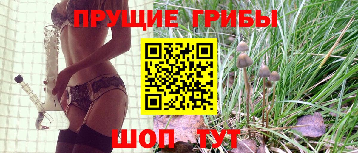 Псилоцибиновые грибы мицелий Гурьевск
