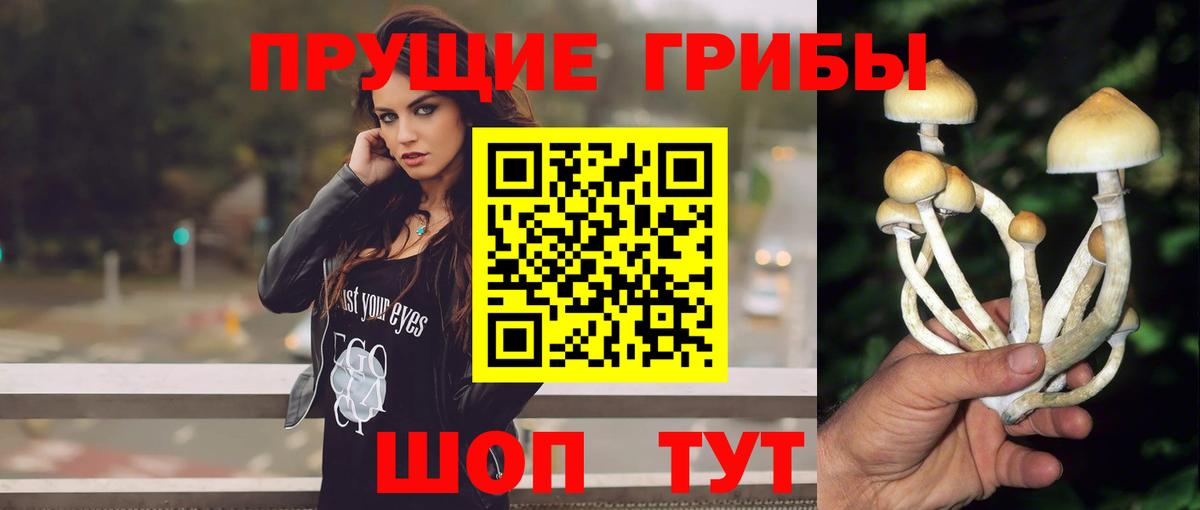 Псилоцибиновые грибы мицелий  Галлюциногенные грибы ЛСД  Вход с VPN  Гурьевск 